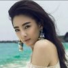 刺猬（JSX）的头像