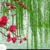 春风拂柳的头像