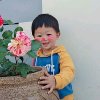 放手去爱的头像
