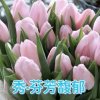 秀•芬芳馥郁的头像