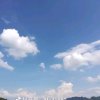 水莲的头像