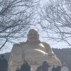 清风的头像