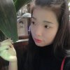 青青子衿的头像