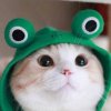 画里的头像
