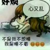 胡哥的头像