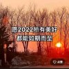 婷婷《暂退》的头像