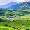 yang的头像
