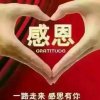 感恩的心的头像