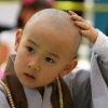 你若安好便是晴天的头像