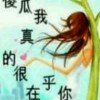 柔情似水的头像