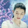 修 瑶瑶的头像