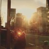 故人会归.的头像