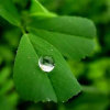 戏雨朦胧的头像