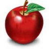 红苹果的头像