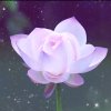 平安（停）的头像