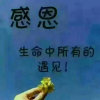 杰的头像