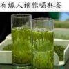 假如的头像