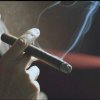 差一元买宝马的头像