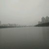 浮云的头像