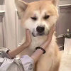 「君策」 的头像