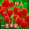 天天的头像
