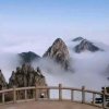 非常6十1的头像