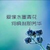 云淡风轻的头像
