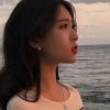 虾虾的头像