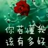我在回忆里等你的头像