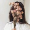 【简沫。】的头像