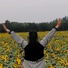 流*星*雨*的头像