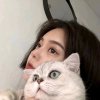 讨人欢心.的头像
