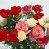 红玫瑰《品优》心灵之旅的头像