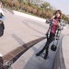 燕子的头像
