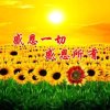 自娱自乐的头像