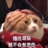 天天哥哥:-&bsol;的头像