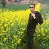 陈氏眼科(暂离)的头像