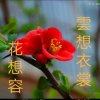 忙里偷闲的头像