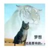 草原蓝天白云的头像