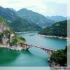 九头雁的头像