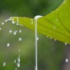 雨韵的头像