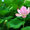  冰雨 （暂离）的头像
