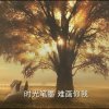 千夜的头像