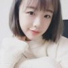 舟晚梦星辰的头像