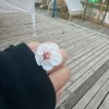 傻兔纸丷的头像