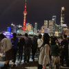 燕子的头像