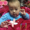 朱亚柳的头像
