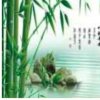 的头像