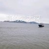 t的头像