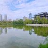 如意的头像